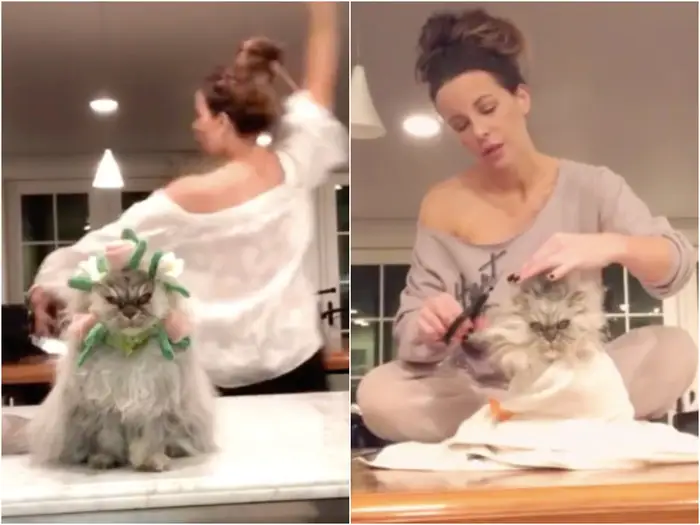 Kate Beckinsale, 51, shows off her toned abs in tiny bikini as she poses with her cat and dog before the feline leaves her with nasty injury