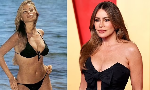 Breaking: Sofia Vergara Shares Sizzling Bikini Throwback After Hinting She's 'Single' Again: The 52-year-old shared a photo from her swimsuit modeling