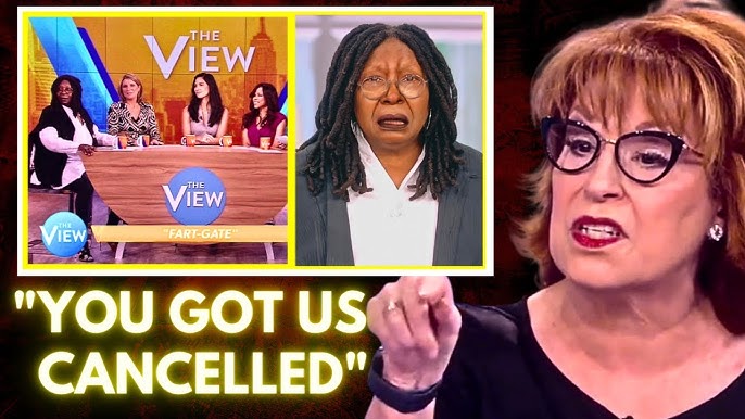 JUST IN: “She Cornered Me In A Bathroom”: Joy Behar Of “The View” Gets Roasted For Her “Mean” Behavior…See Details