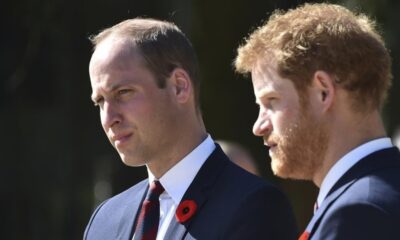 JUST IN: Prince William is making a grave mistake by pushing his younger brother Harry away, says Princess Diana confidant..See More 👇