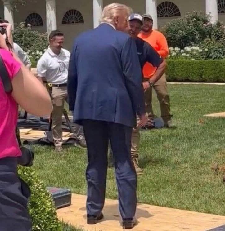 What’s Really on the Back of Trump’s Legs Revealed