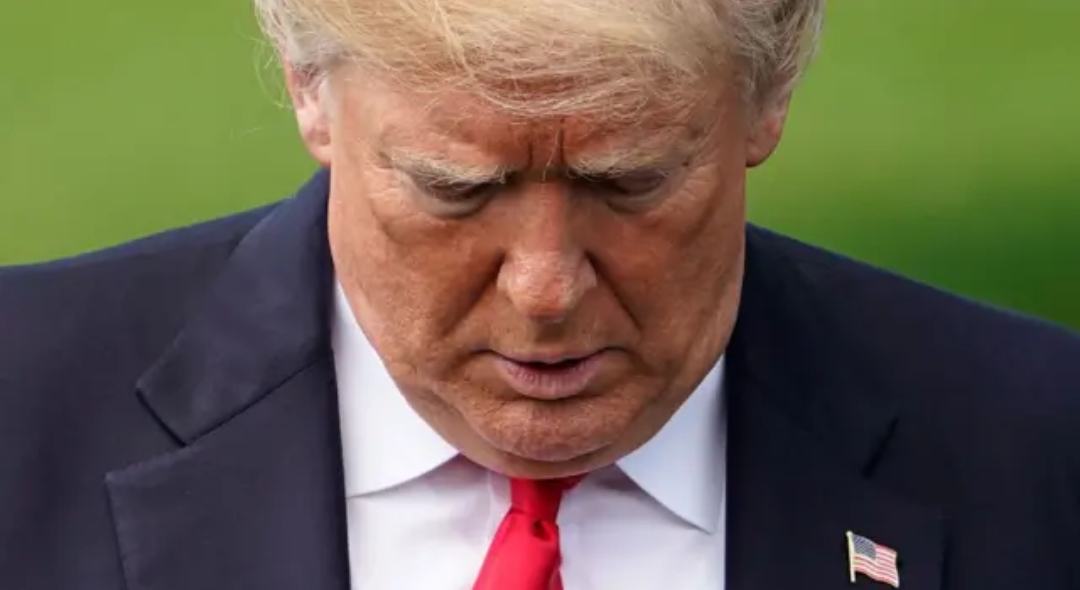 BREAKING: The UN Human Rights Council panel has just crossed the Rubicon. They’ve officially concluded that the Epstein files suggest a “global criminal enterprise” that meets the legal threshold for Crimes Against Humanity.