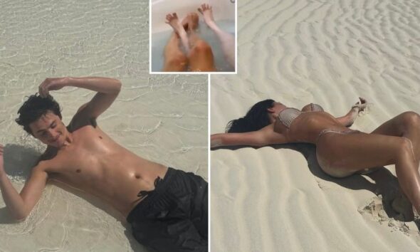Timothée Chalamet and Kylie Jenner in new beach photos.